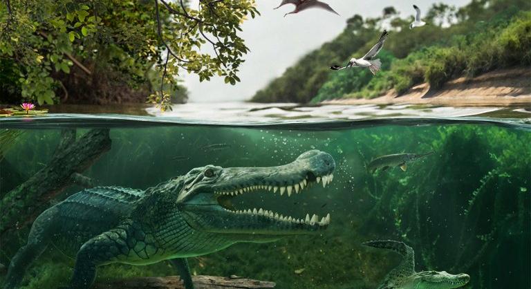Még a 19. században is élhettek óriáskrokodilok, amelyek ősei dinoszauruszokat ettek