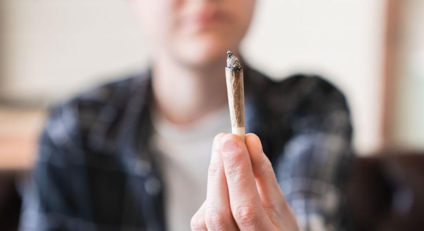 A biofű nem bio és nem fű, terjed és pusztít akár egy vírus