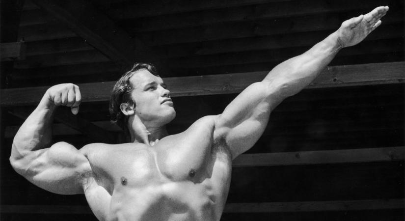 Kiderült, mi köze van Gyarmati Andreának Arnold Schwarzeneggerhez