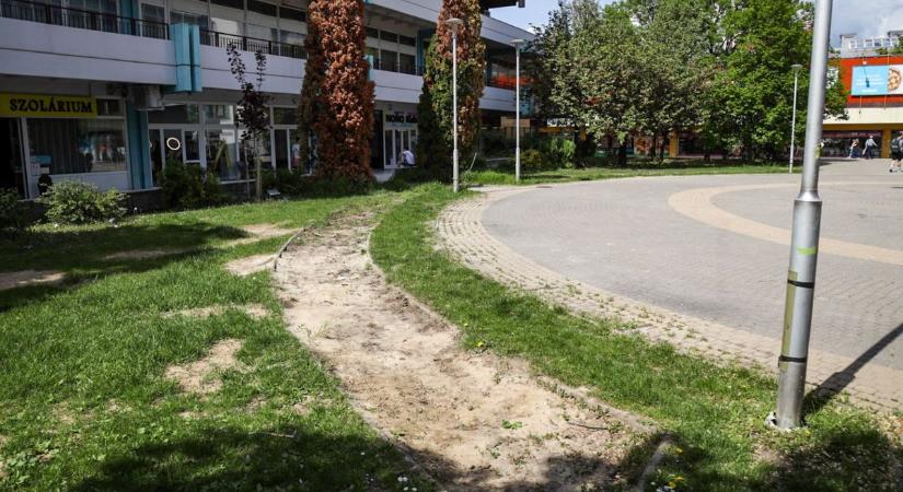 Sokan azt hitték, tudják, miért tűntek el a padok a szolnoki főtérről, de mindenki tévedett