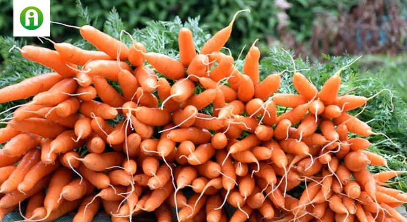 Rohamosan fogynak a készletek – elkerülhetetlen a drágulás?