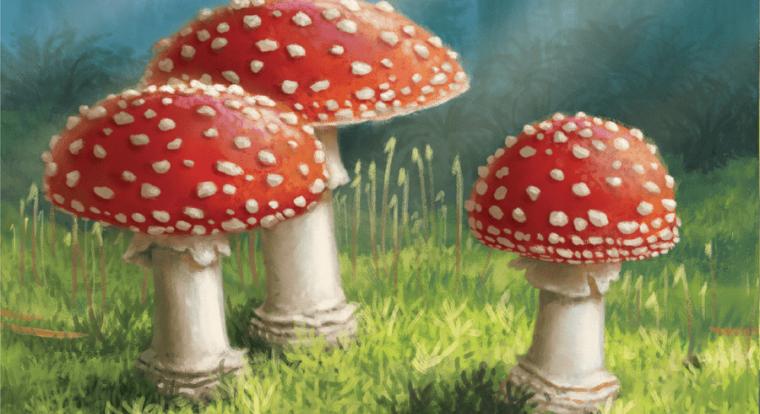 Gombák között bóklászva bukkantunk egy kőkemény stratégiai játékra