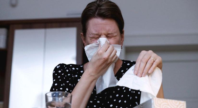 Táppénz vagy betegszabadság? Nem is gondolnád, mikor marad több a zsebben
