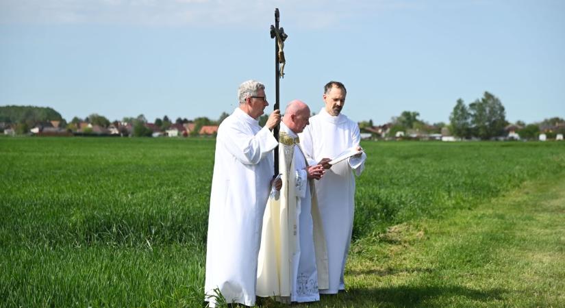 Közös énekléssel kezdődött a szertartás a szandaszőlősi búzatáblánál – galériával