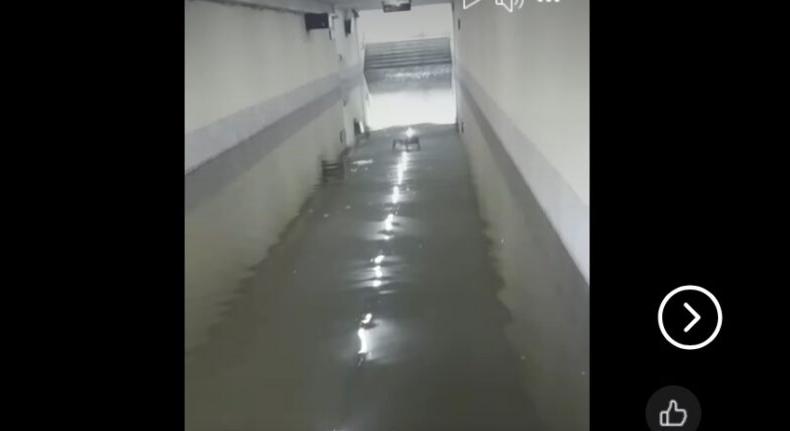 Használhatatlan a palicsi vasúti aluljáró, áll benne a víz