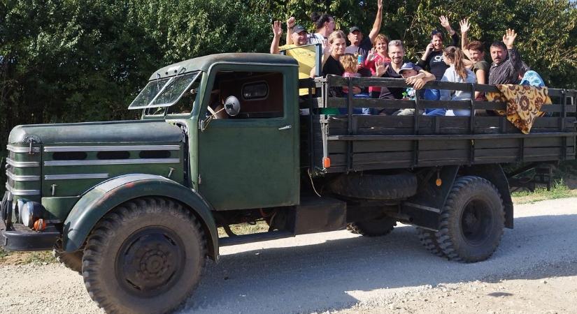 Már oviban is traktor volt a jele – most ő őrzi a Dutra-legendát Balatonbogláron