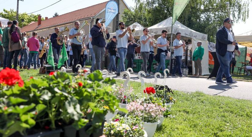 Színek, illatok, dallamok - A Herényi Virágútról jelentjük - képekkel