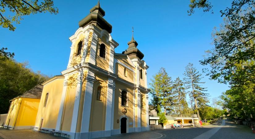 Csoda Szentkúton: hófehér csodaszarvas jelent meg Böjte Csaba liturgiája alatt szombaton - Fotó