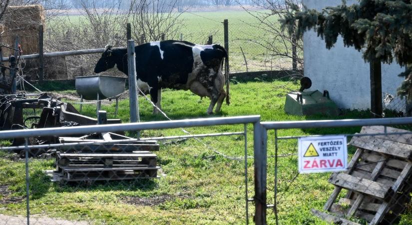 Súlyos büntetést kockáztatnak a szabolcsi gazdák, ha mulasztanak – itt vannak az új szabályok