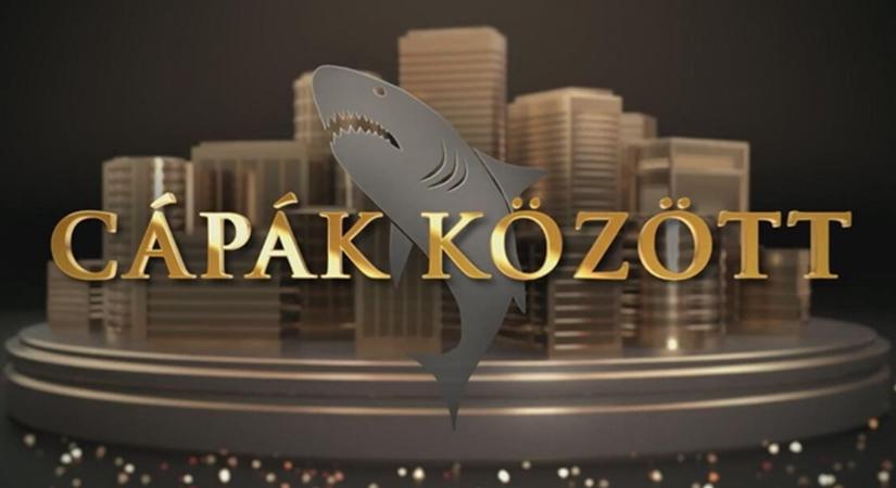 Cápák között: Balogh Levente és Lakatos István együtt forradalmasítják a teázást