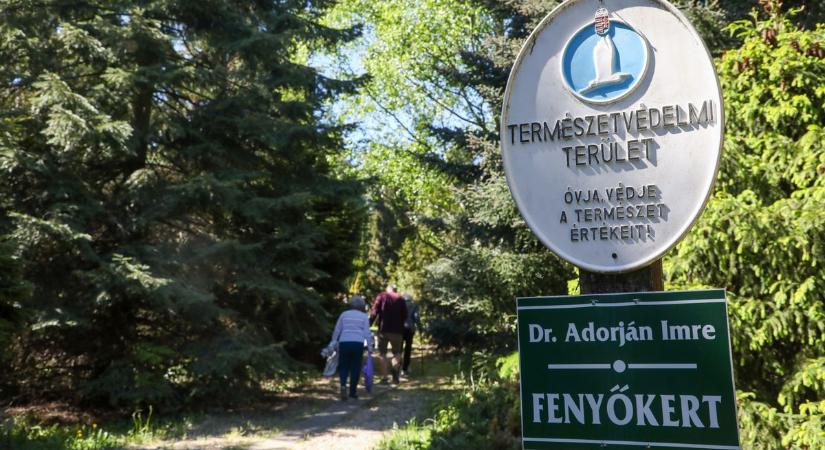 Az Avasi Arborétumban tartottak vasárnap megemlékezést - fotók, videó