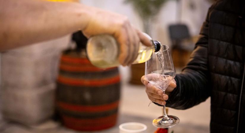 Borkóstolásra invitálja a vármegye cégvezetőit az iparkamara
