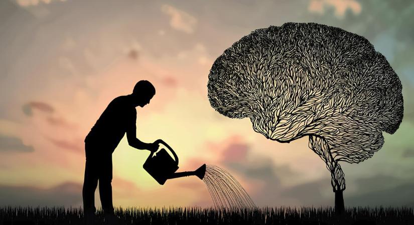 Mi az a growth mindset, és hogyan segít az egyetemen?