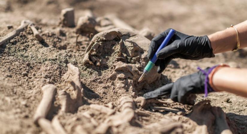 Bugaci leletek bizonyítják, hogy a mongol horda kegyetlenül gyilkolta meg a gyerekeket is