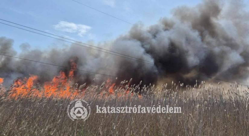 Nagy területen égett a nádas Tiszafüred és Egyek között