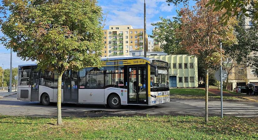 Munkacipőket vásárolna a DKV