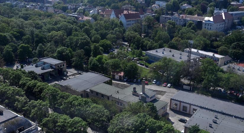 Tiborcz István cége is adományoz a Városmajor felújításához