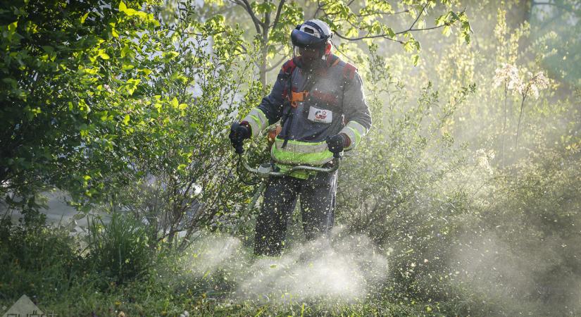 Közleményben jelezte a Győr-Szol: átmenetileg több időbe telik a fűnyírás