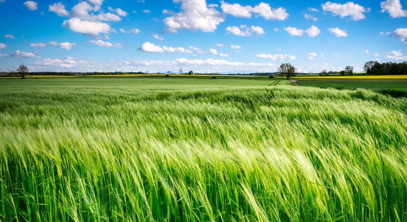Módosult az „Agrár-környezetgazdálkodási kifizetések (AKG)” felhívás