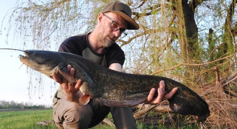 Termetes pontyok, compók és harcsák „potyogtak” Látóképen
