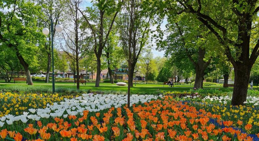 Gyereknap 2025 Hajdúszoboszló