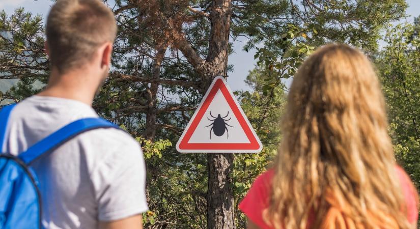 Komoly figyelmeztetés jött: Beazonosították az "albínó" kullancsot. Dr. Kapiller Zoltán István állatorvos-zoológus közlése hatalmas súlyú