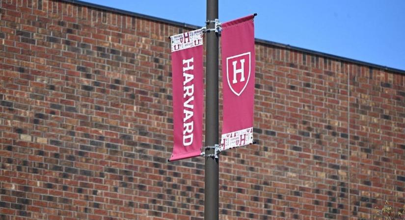 Akasztják a hóhért: Trumpék rasszizmus miatt indítanak vizsgálatot a Harvard ellen