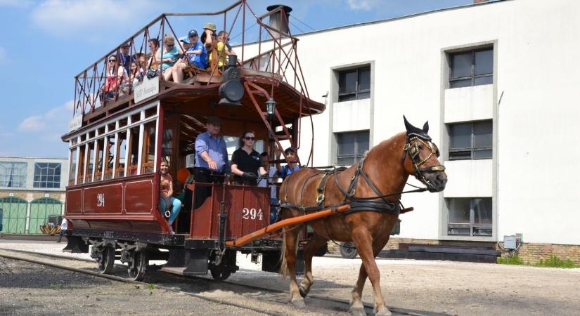 Gyereknap a Vasúttörténeti Parkban 2025 Budapest
