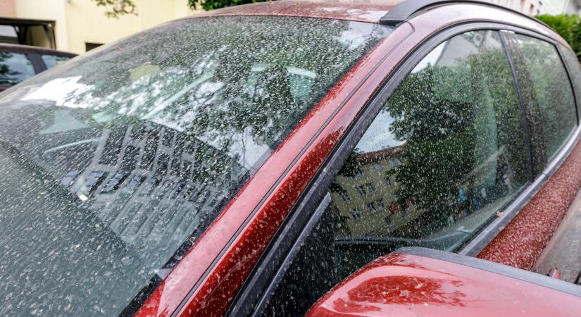 Tavaly több mint 331 ezer tonnányi szaharai homok érkezett Szlovákiába