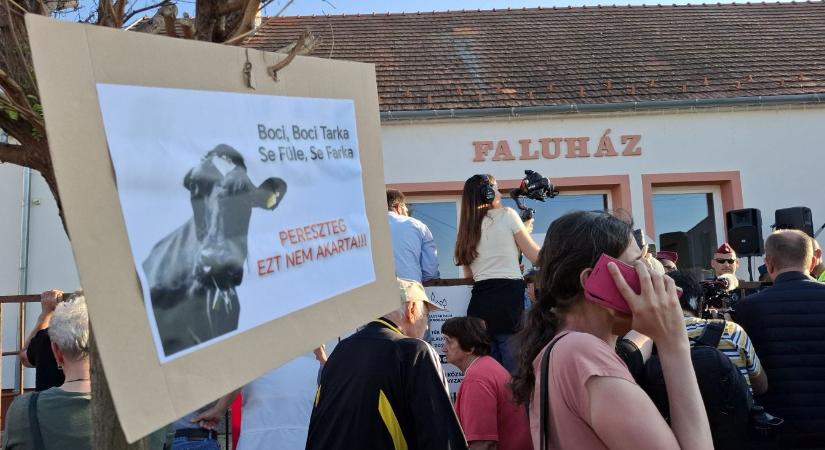 „Hatvanpusztára és Felcsútra vigyék a döglött teheneket”