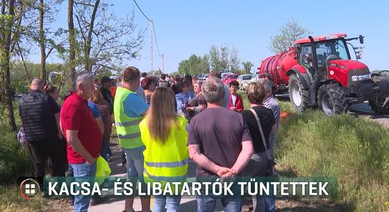 Több száz kacsa- és libatartó tüntetett, szerintük semmit nem ér a kormány intézkedése a madárinfluenza ellen