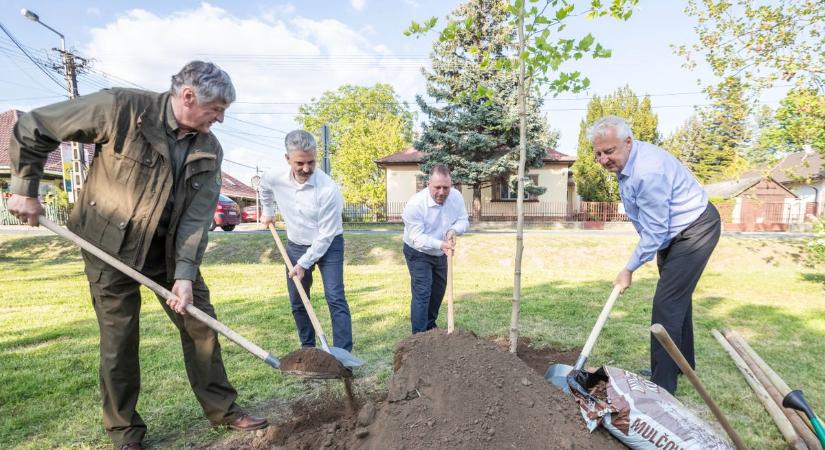 Velencén is gyökeret ereszt az országfásítás: facsemetét ültetett a miniszterelnök-helyettes a Hősök parkjában