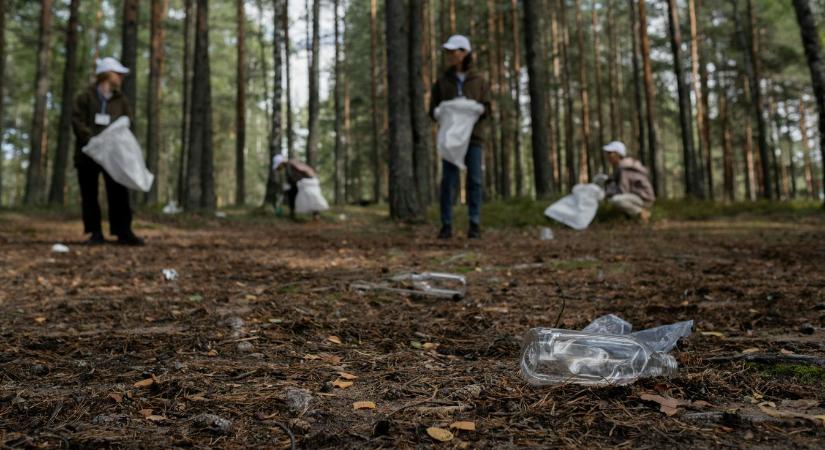 Ezer köbméternyi szeméttől szabadították meg a hazai erdőket
