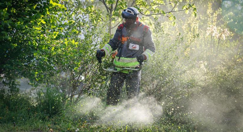 Elindult a fűnyírás szezonja, a Győr-Szol teljes kapacitással dolgozik a városban