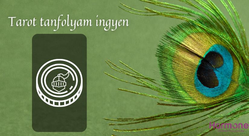 Érmék Lovagja - Udvari kártyák a tarot kis arkánumában