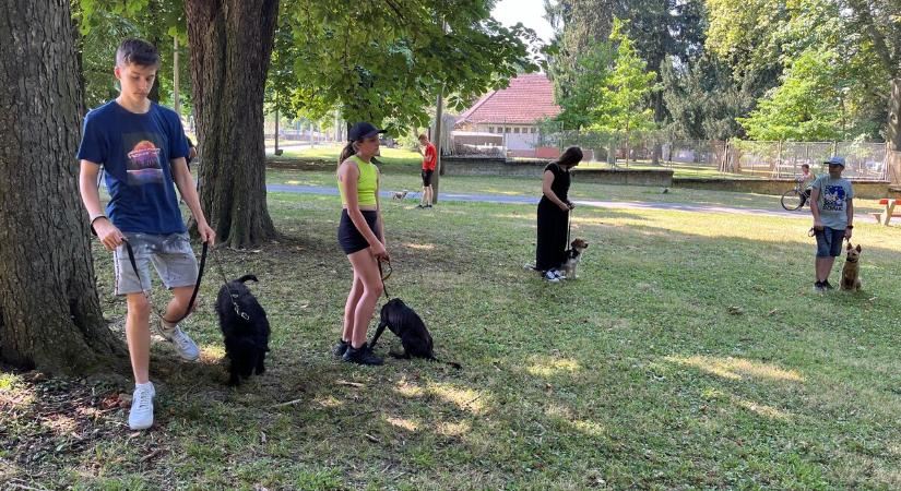 Ismét nyári táborba várják az ifjú állatvédőket