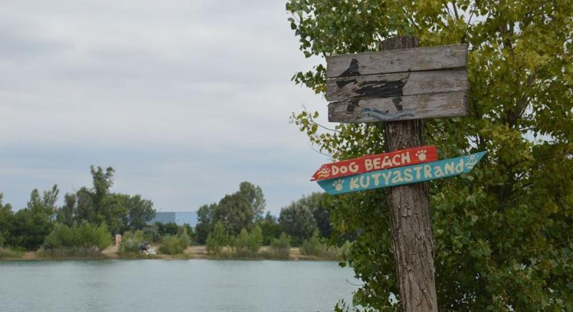 21 úti cél kutyás csobbanáshoz: itt a friss kutyabarát strand lista!