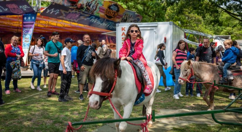 Csibe-csoda főzőverseny, gumicsizma-hajítás, Óriásbuborék Show – ezekre a programokra látogathatunk el a hosszú hétvégén