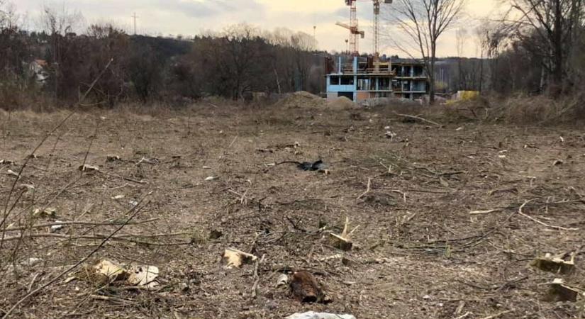 Salátatörvényben ad szabad utat a tarvágásoknak a kormány