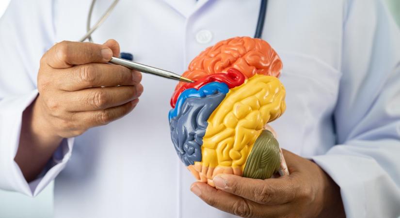 Alzheimer-kór kialakulása: kiderült, hogy nagyban okolható érte a stressz