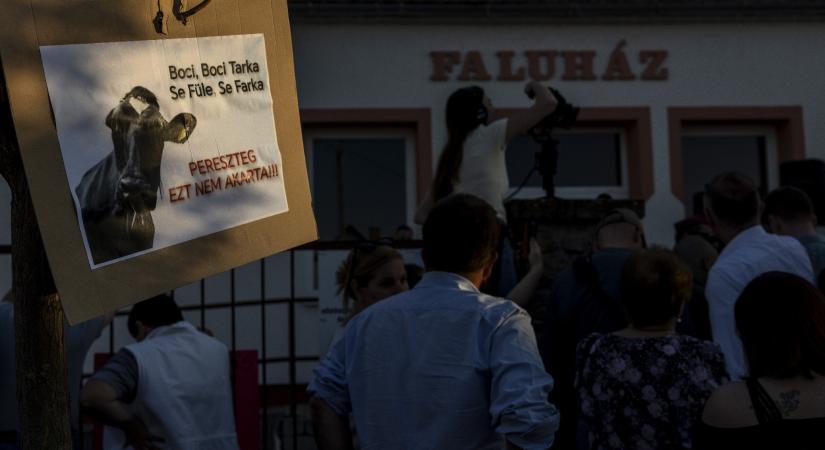 Nagy István: Legközelebb máshogy fogjuk csinálni