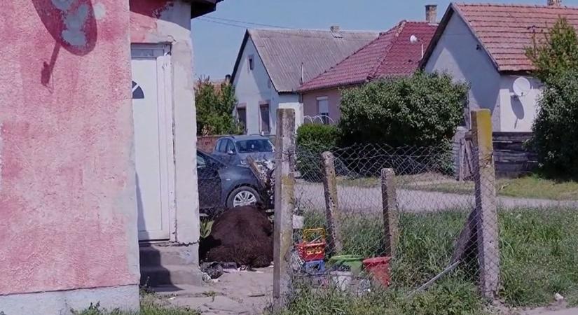 Mátészalkai horror: gitárral verte volna agyon feleségét az agresszív férfi