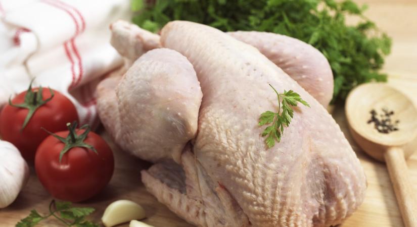 Ez messze a legjobb megoldás: így szedd ki csirkehúsból a hormonokat és az antibiotikumot