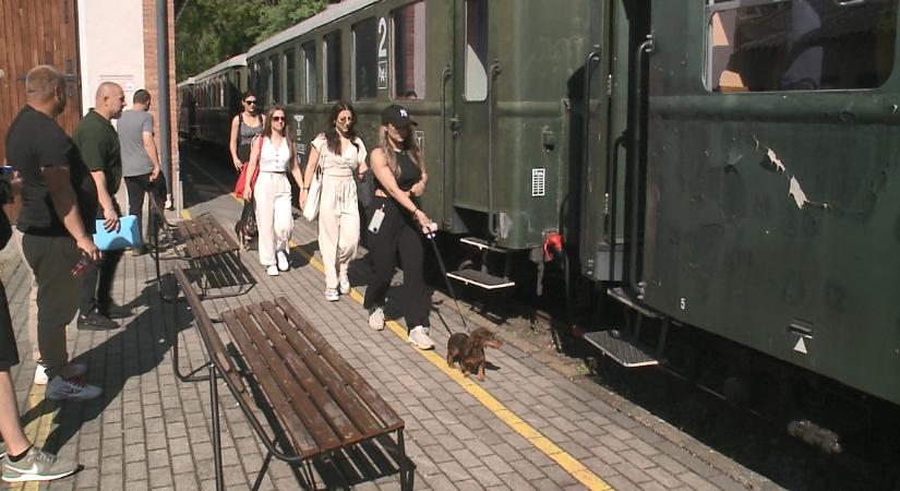 Május elsejétől Zsuzsi vonatozásra is ingyenesen vihetjük magunkkal kedvenceinket – videóval