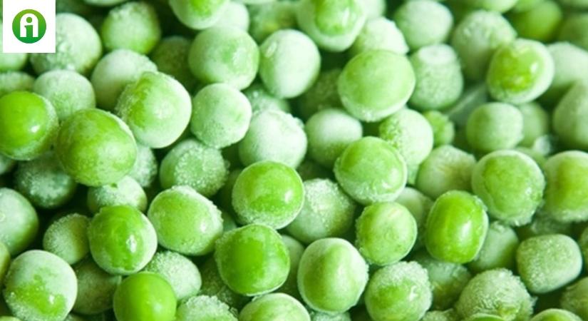 Fagyasztott zöldborsóval turbózható fel a bélflóra egészsége