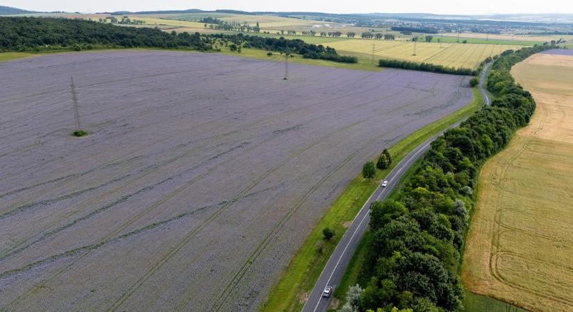 Több mint 200 milliárd forinttal segítik a környezettudatosan gazdálkodókat