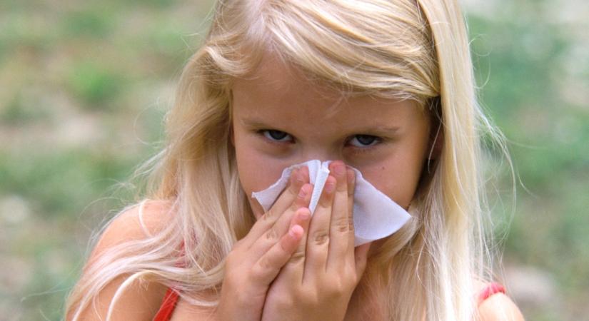 Ezek az ételek biztosan nem segítenek az allergiádon: érdemes elkerülni őket