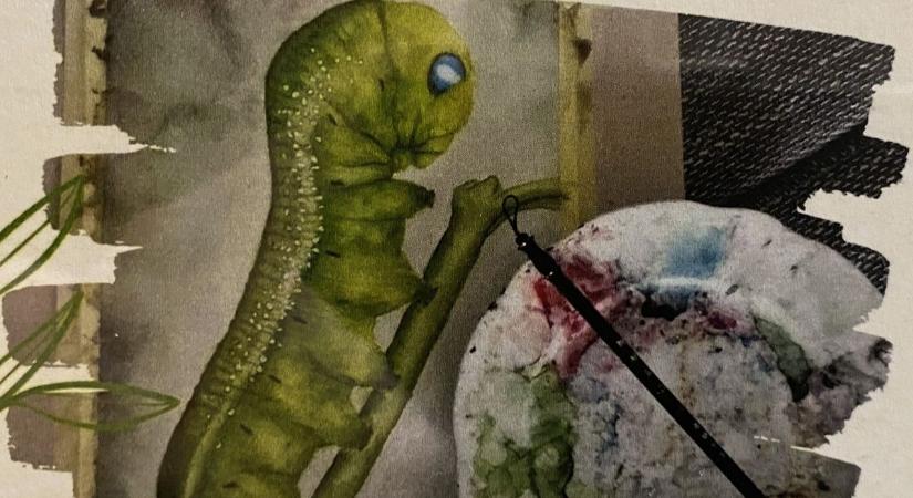 Elrejtsem vagy megosszam? (képgaléria)
