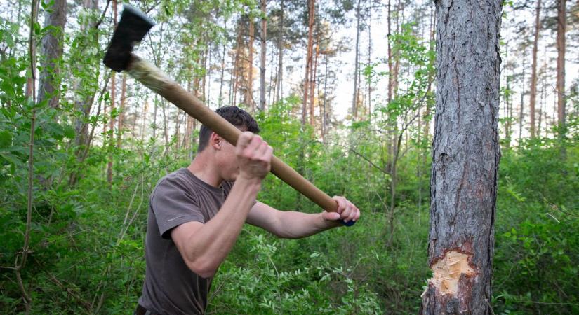 Elszántan indultak titkos akcióra éjszaka, baltákat is vittek magukkal a fiatalok