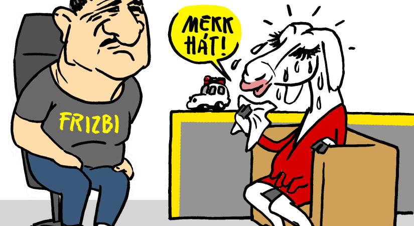 Amit nem akartál tudni a szexről